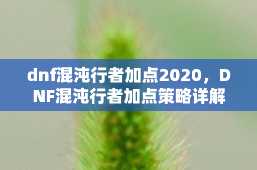 dnf混沌行者加点2020,DNF混沌行者加点策略详解 dnf混沌行者加点2020,DNF混沌行者加点策略详解