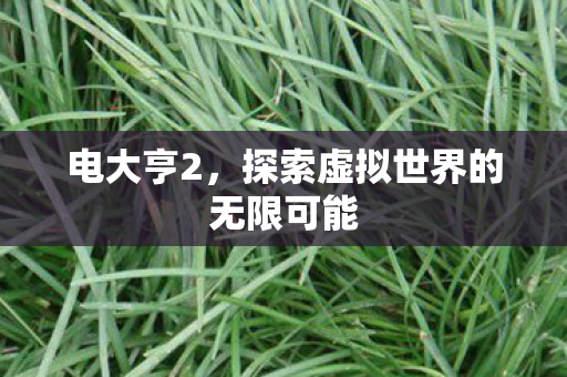 电大亨2,探索虚拟世界的无限可能 电大亨2,探索虚拟世界的无限可能