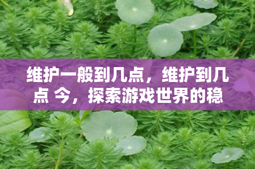 维护一般到几点，维护到几点 今，探索游戏世界的稳定与更新