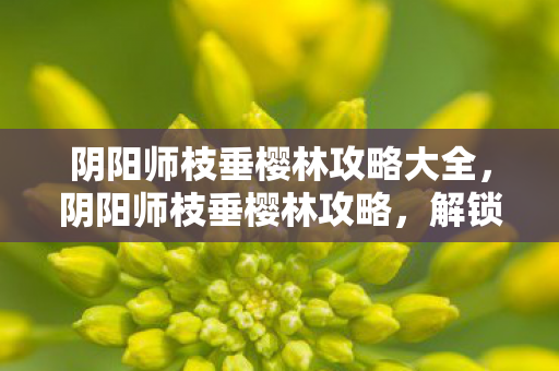 阴阳师枝垂樱林攻略大全,阴阳师枝垂樱林攻略,解锁神秘副本,提升战力与收集资源 阴阳师枝垂樱林攻略大全,阴阳师枝垂樱林攻略,解锁神秘副本,提升战力与收集资源