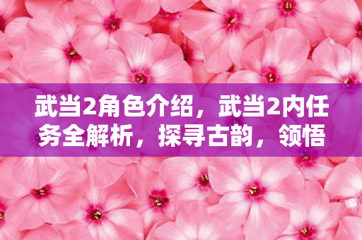 武当2角色介绍,武当2内任务全解析,探寻古韵,领悟内功心法 武当2角色介绍,武当2内任务全解析,探寻古韵,领悟内功心法