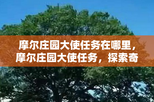 摩尔庄园大使任务在哪里,摩尔庄园大使任务,探索奇妙世界的奇妙之旅 摩尔庄园大使任务在哪里,摩尔庄园大使任务,探索奇妙世界的奇妙之旅