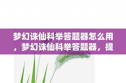 梦幻诛仙科举答题器怎么用,梦幻诛仙科举答题器,提升你的科举之路 梦幻诛仙科举答题器怎么用,梦幻诛仙科举答题器,提升你的科举之路