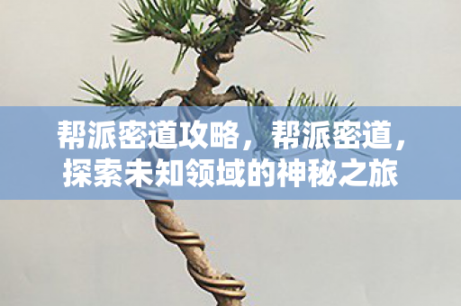 帮派密道攻略,帮派密道,探索未知领域的神秘之旅 帮派密道攻略,帮派密道,探索未知领域的神秘之旅