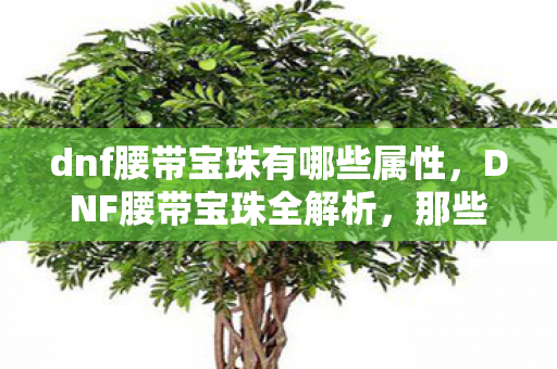 dnf腰带宝珠有哪些属性,DNF腰带宝珠全解析,那些令人惊艳的3字以上选择 dnf腰带宝珠有哪些属性,DNF腰带宝珠全解析,那些令人惊艳的3字以上选择