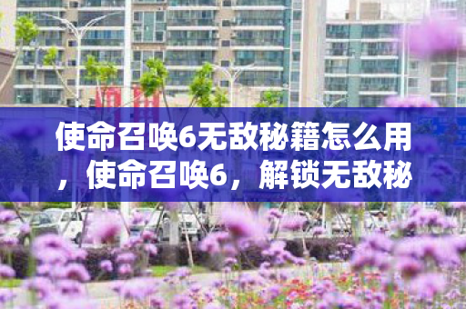 使命召唤6无敌秘籍怎么用,使命召唤6,解锁无敌秘籍,畅享游戏巅峰 使命召唤6无敌秘籍怎么用,使命召唤6,解锁无敌秘籍,畅享游戏巅峰