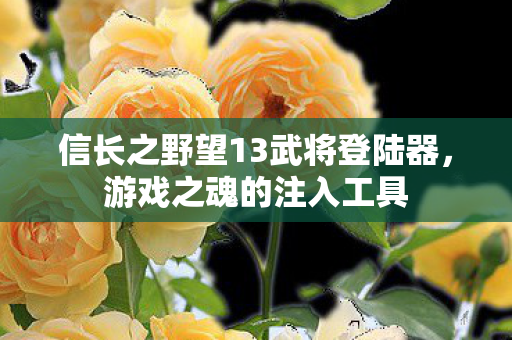 信长之野望13武将登陆器,游戏之魂的注入工具 信长之野望13武将登陆器,游戏之魂的注入工具