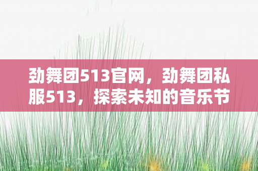 劲舞团513官网,劲舞团私服513,探索未知的音乐节奏之旅 劲舞团513官网,劲舞团私服513,探索未知的音乐节奏之旅