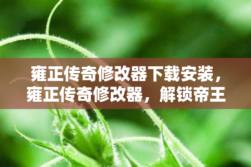 雍正传奇修改器下载安装,雍正传奇修改器,解锁帝王的传奇之路 雍正传奇修改器下载安装,雍正传奇修改器,解锁帝王的传奇之路