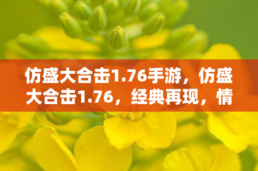 仿盛大合击1.76手游,仿盛大合击1.76,经典再现,情怀与创新的碰撞 仿盛大合击1.76手游,仿盛大合击1.76,经典再现,情怀与创新的碰撞