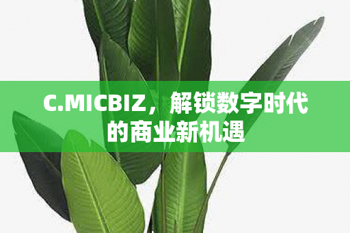 C.MICBIZ,解锁数字时代的商业新机遇 C.MICBIZ,解锁数字时代的商业新机遇