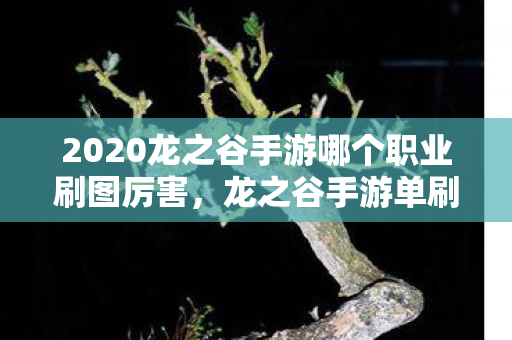 2020龙之谷手游哪个职业刷图厉害,龙之谷手游单刷职业,独步战场的勇者 2020龙之谷手游哪个职业刷图厉害,龙之谷手游单刷职业,独步战场的勇者