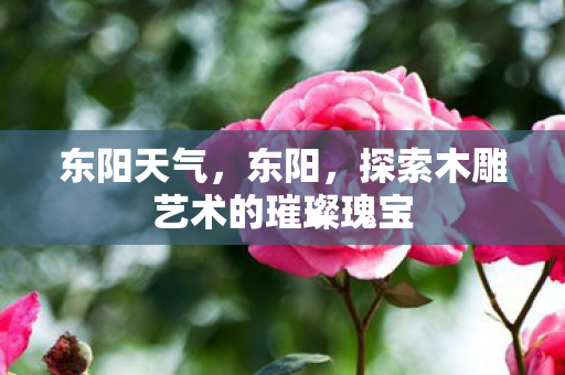 东阳天气，东阳，探索木雕艺术的璀璨瑰宝
