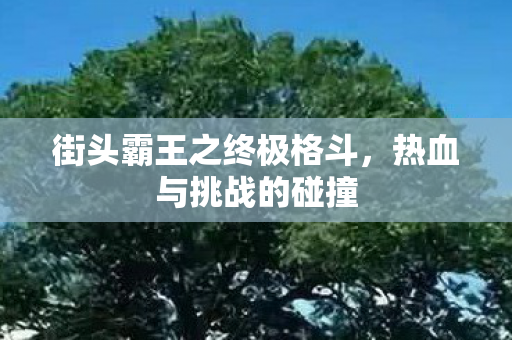 街头霸王之终极格斗,热血与挑战的碰撞 街头霸王之终极格斗,热血与挑战的碰撞