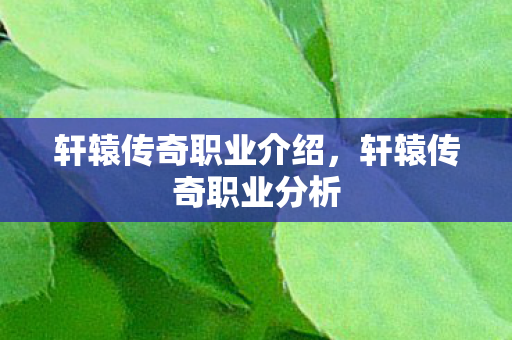 轩辕传奇职业介绍,轩辕传奇职业分析 轩辕传奇职业介绍,轩辕传奇职业分析