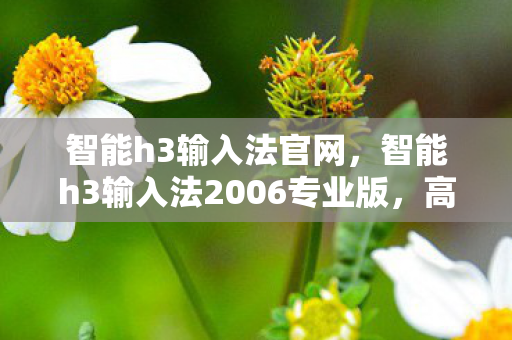 智能h3输入法官网,智能h3输入法2006专业版,高效输入,智能体验 智能h3输入法官网,智能h3输入法2006专业版,高效输入,智能体验