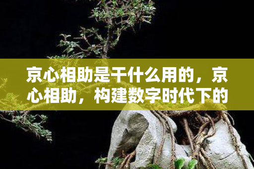 京心相助是干什么用的,京心相助,构建数字时代下的公益新生态 京心相助是干什么用的,京心相助,构建数字时代下的公益新生态
