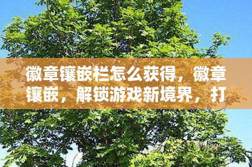 徽章镶嵌栏怎么获得，徽章镶嵌，解锁游戏新境界，打造个性化装备
