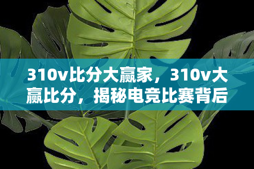 310v比分大赢家,310v大赢比分,揭秘电竞比赛背后的数据驱动 310v比分大赢家,310v大赢比分,揭秘电竞比赛背后的数据驱动