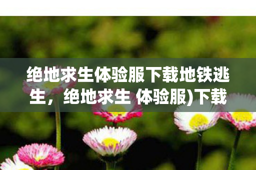 绝地求生体验服下载地铁逃生,绝地求生 体验服)下载地铁逃生 绝地求生体验服下载地铁逃生,绝地求生 体验服)下载地铁逃生