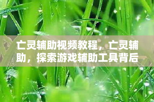 亡灵辅助视频教程,亡灵辅助,探索游戏辅助工具背后的奥秘 亡灵辅助视频教程,亡灵辅助,探索游戏辅助工具背后的奥秘