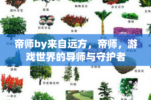 帝师by来自远方,帝师,游戏世界的导师与守护者 帝师by来自远方,帝师,游戏世界的导师与守护者