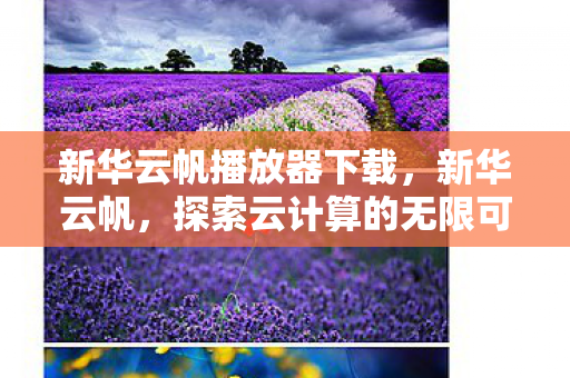 新华云帆播放器下载，新华云帆，探索云计算的无限可能