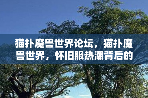 猫扑魔兽世界论坛,猫扑魔兽世界,怀旧服热潮背后的玩家情怀与游戏变迁 猫扑魔兽世界论坛,猫扑魔兽世界,怀旧服热潮背后的玩家情怀与游戏变迁