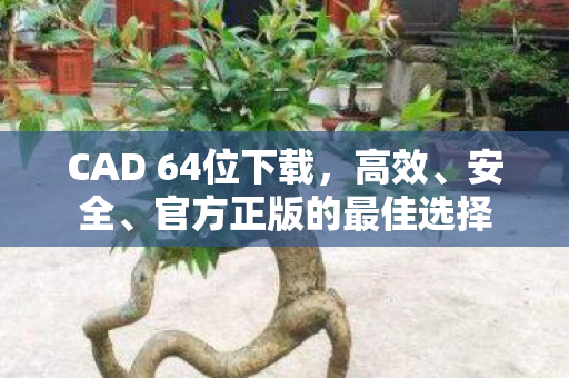 CAD 64位下载,高效、安全、官方正版的最佳选择 CAD 64位下载,高效、安全、官方正版的最佳选择