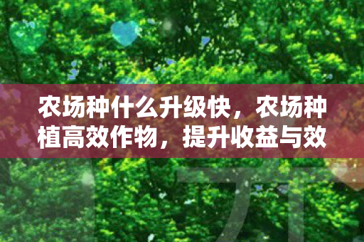 农场种什么升级快,农场种植高效作物,提升收益与效率的秘诀 农场种什么升级快,农场种植高效作物,提升收益与效率的秘诀
