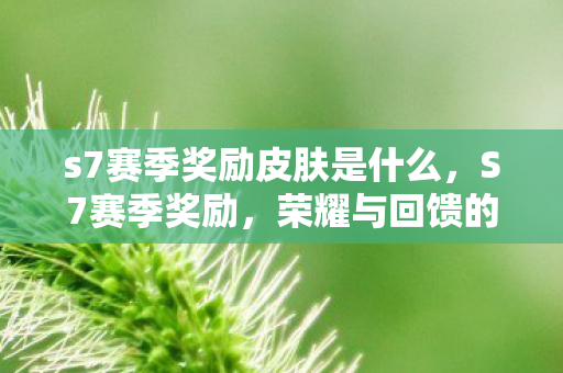 s7赛季奖励皮肤是什么，S7赛季奖励，荣耀与回馈的交响曲
