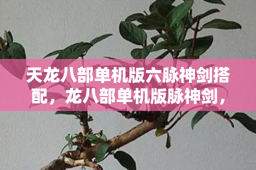 天龙八部单机版六脉神剑搭配,龙八部单机版脉神剑,探索武侠世界的独特魅力 天龙八部单机版六脉神剑搭配,龙八部单机版脉神剑,探索武侠世界的独特魅力