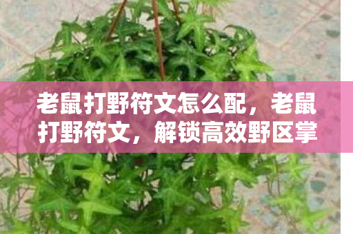 老鼠打野符文怎么配,老鼠打野符文,解锁高效野区掌控的秘诀 老鼠打野符文怎么配,老鼠打野符文,解锁高效野区掌控的秘诀