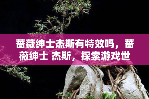蔷薇绅士杰斯有特效吗，蔷薇绅士 杰斯，探索游戏世界的独特魅力