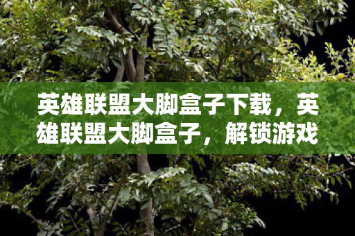 英雄联盟大脚盒子下载，英雄联盟大脚盒子，解锁游戏新体验，合法合规的娱乐选择