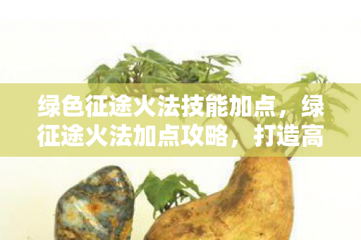 绿色征途火法技能加点,绿征途火法加点攻略,打造高效法师 绿色征途火法技能加点,绿征途火法加点攻略,打造高效法师