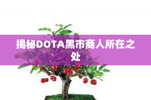 揭秘DOTA黑市商人所在之处