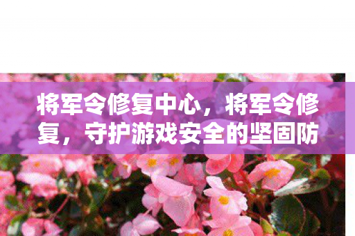 将军令修复中心,将军令修复,守护游戏安全的坚固防线 将军令修复中心,将军令修复,守护游戏安全的坚固防线