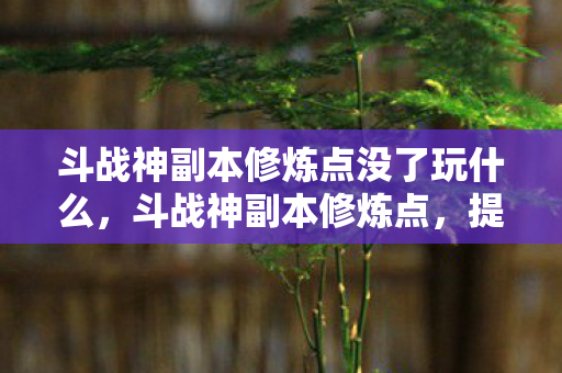 斗战神副本修炼点没了玩什么,斗战神副本修炼点,提升战斗力的关键要素 斗战神副本修炼点没了玩什么,斗战神副本修炼点,提升战斗力的关键要素