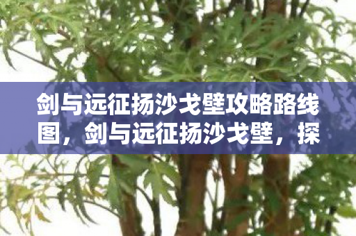 剑与远征扬沙戈壁攻略路线图,剑与远征扬沙戈壁,探索未知的冒险之旅 剑与远征扬沙戈壁攻略路线图,剑与远征扬沙戈壁,探索未知的冒险之旅
