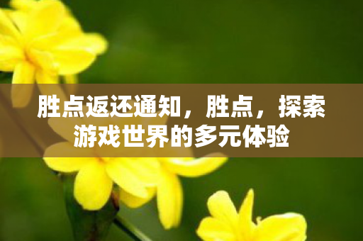 胜点返还通知,胜点,探索游戏世界的多元体验 胜点返还通知,胜点,探索游戏世界的多元体验