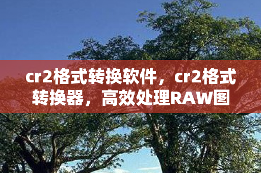cr2格式转换软件,cr2格式转换器,高效处理RAW图像文件的利器 cr2格式转换软件,cr2格式转换器,高效处理RAW图像文件的利器