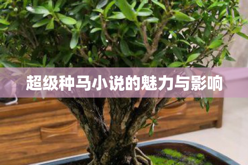 超级种马小说的魅力与影响 超级种马小说的魅力与影响