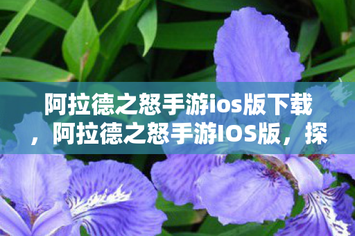 阿拉德之怒手游ios版下载,阿拉德之怒手游IOS版,探索未知世界的奇幻之旅 阿拉德之怒手游ios版下载,阿拉德之怒手游IOS版,探索未知世界的奇幻之旅