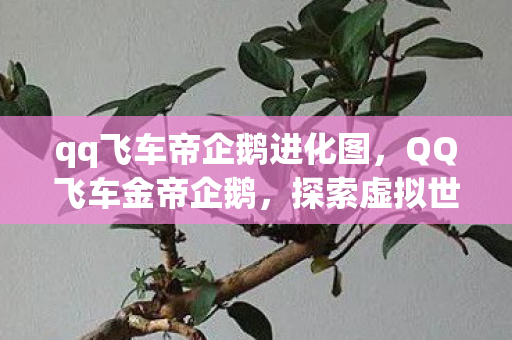 qq飞车帝企鹅进化图,QQ飞车金帝企鹅,探索虚拟世界的无限可能 qq飞车帝企鹅进化图,QQ飞车金帝企鹅,探索虚拟世界的无限可能