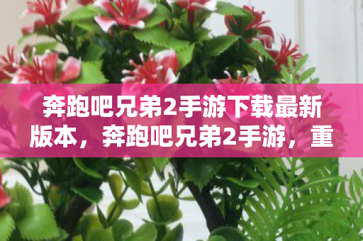 奔跑吧兄弟2手游下载最新版本,奔跑吧兄弟2手游,重温经典,欢乐无限 奔跑吧兄弟2手游下载最新版本,奔跑吧兄弟2手游,重温经典,欢乐无限