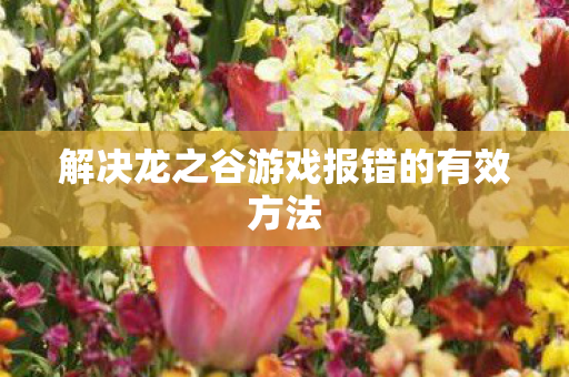 解决龙之谷游戏报错的有效方法 解决龙之谷游戏报错的有效方法