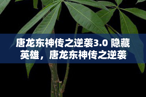 唐龙东神传之逆袭3.0 隐藏英雄,唐龙东神传之逆袭 唐龙东神传之逆袭3.0 隐藏英雄,唐龙东神传之逆袭