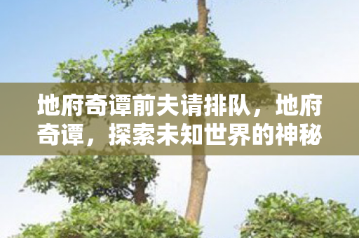 地府奇谭前夫请排队，地府奇谭，探索未知世界的神秘之旅