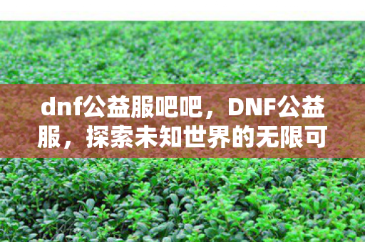 dnf公益服吧吧,DNF公益服,探索未知世界的无限可能 dnf公益服吧吧,DNF公益服,探索未知世界的无限可能